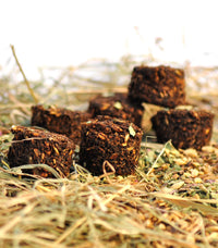 Stud Muffins Gingerbread skanėstai žirgams (15vnt.)