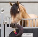 Imperial Riding Stable Buddy Mėnulis žaislas žirgui