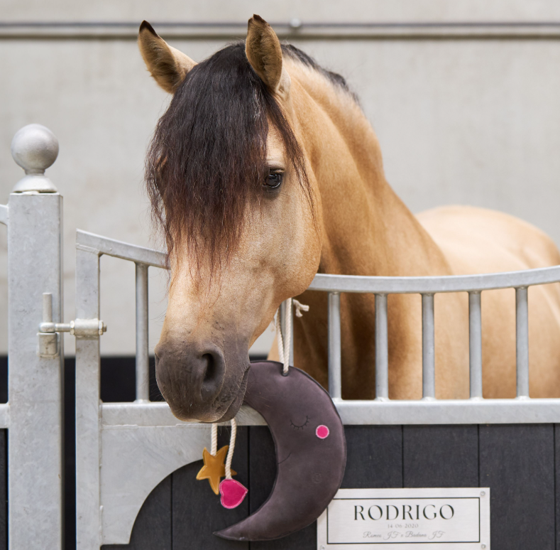 Imperial Riding Stable Buddy Mėnulis žaislas žirgui