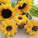Cupcake Sunflower – rankų darbo saulėgrąžos formos keksiukas žirgams