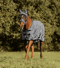Zebra gūnia žirgams nuo mašalų su papilvės uždengimu